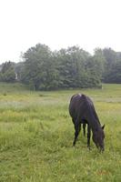 Cjp_2010_05_28_072756 (1).jpg